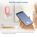 VTech BC8113 V-Hush Plug Sleep Trainer Soother Bluetooth Speaker (Renewed)